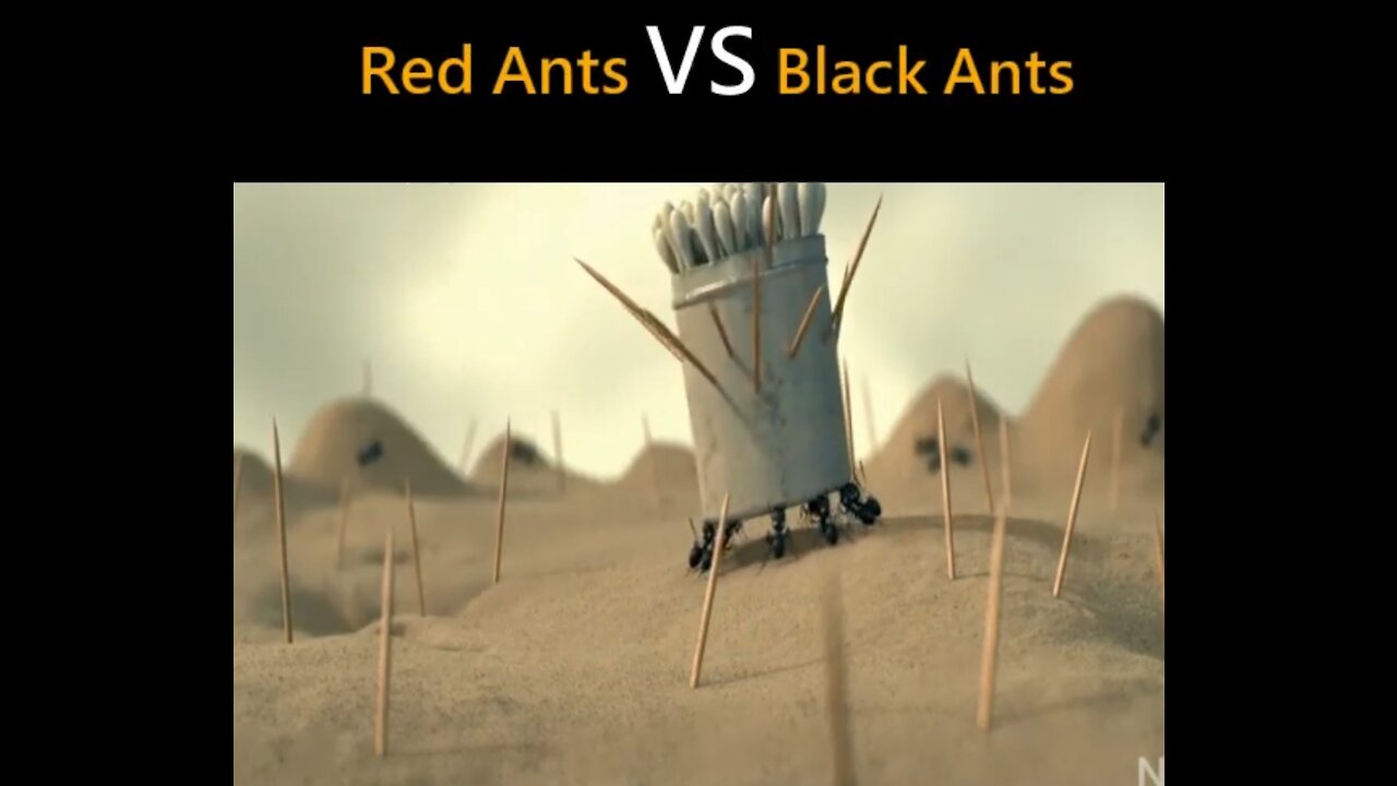 Red_Ants🐜_VS_Black_Ants