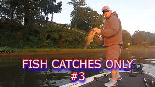 Smallmouth crushes topwater then almost jumps in the boat!!!