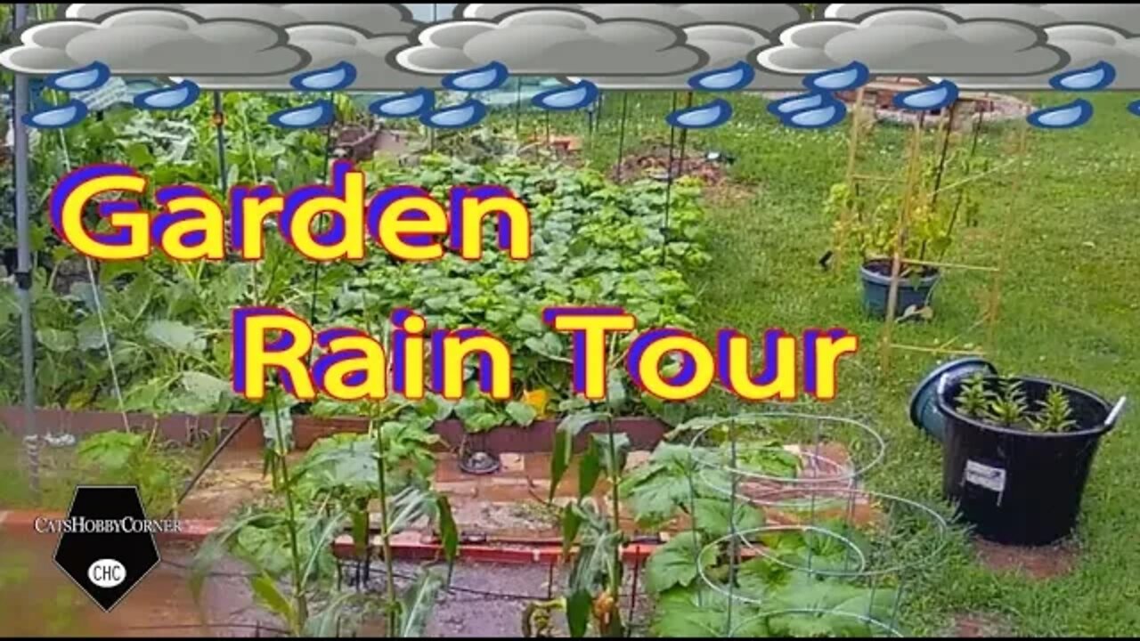 Rain Garden Tour - 7/2/2022