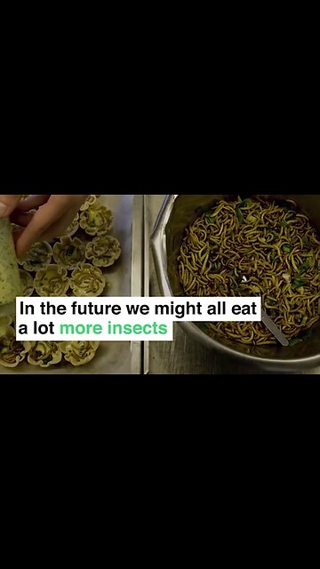 WEF Video Touts "Insect Bread" As Solution To "Evils" Of Animal Agriculture