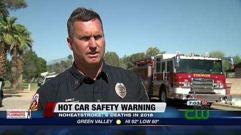 Kids, pets, & hot cars: it's not worth the risk