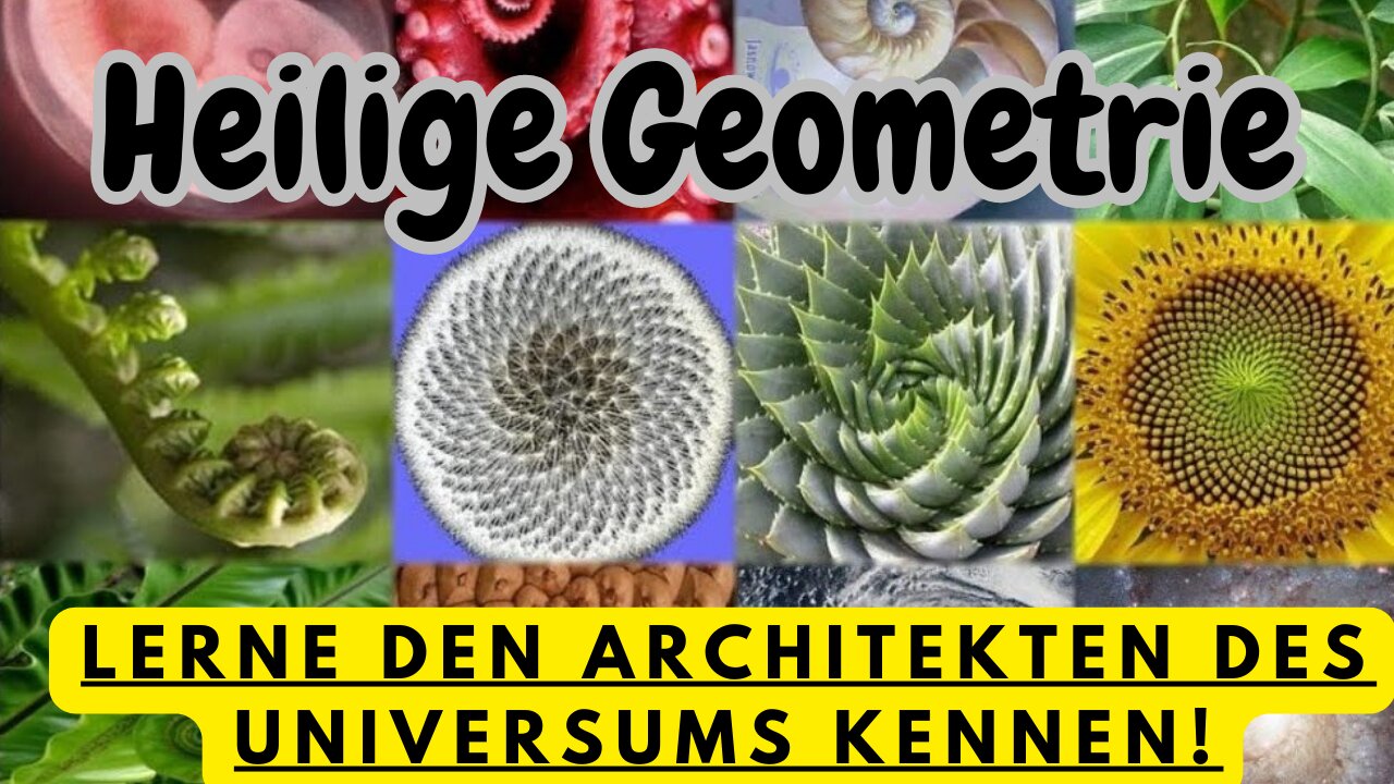 Heilige Geometrie, Fraktale, die Blume des Lebens und Starseeds.