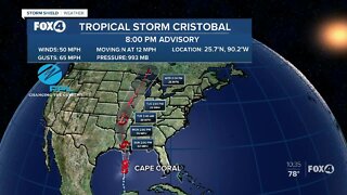 Cristobal moves closer to the Louisiana coast