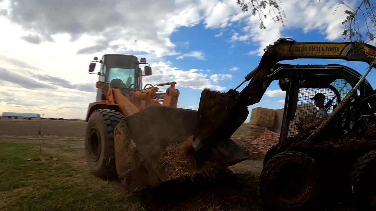 Scraping an Alley and Clearing Ground