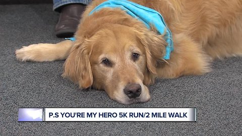 You're My Hero 5K Run/Walk