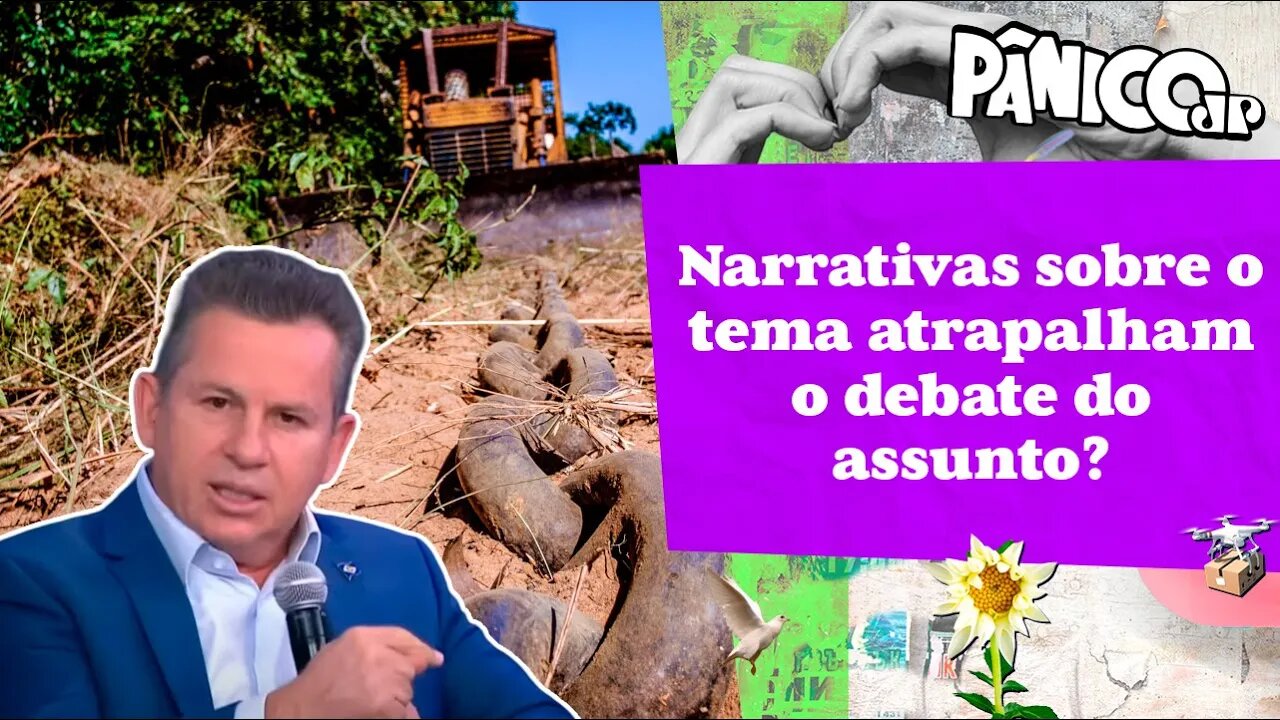 O QUE MAURO MENDES PENSA SOBRE DESMATAMENTO ILEGAL?