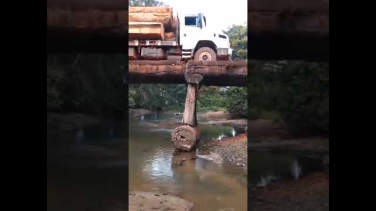 Logging Truck Crossing Wood Bridge FAILS #Shorts