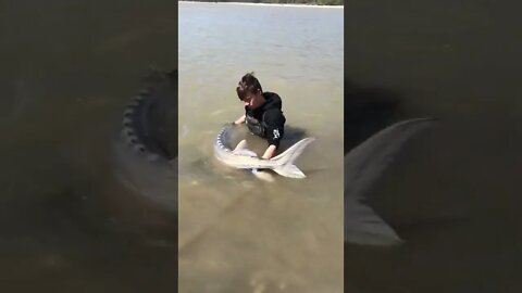 Sturgeon Fishing on the West Coast