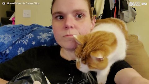 Cat doesn't let owner eat popcorn