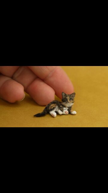 🐶🐱 Funny Cat Reaction Videos - Try Not To Laugh 🤣| Super Dog