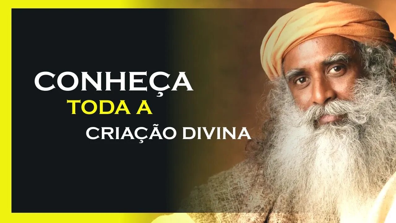 COMO BRILHAR MAIS DO QUE ESTRELAS NO CÉU, SADHGURU DUBLADO, MOTIVAÇÃO MESTRE