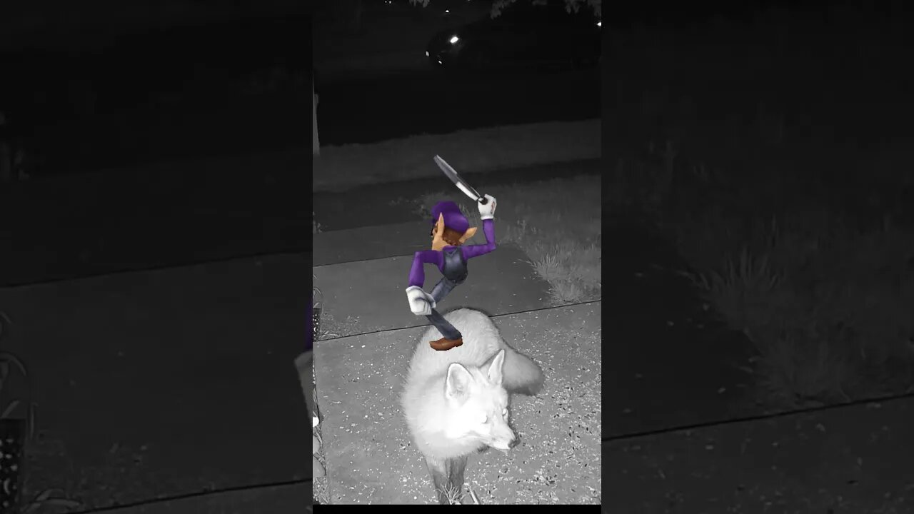 Waluigi Is Mean To The Fox! #Shorts 😬