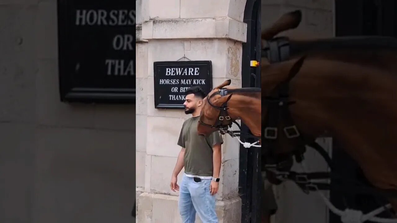 Inches way from a big bite #horseguardsparade