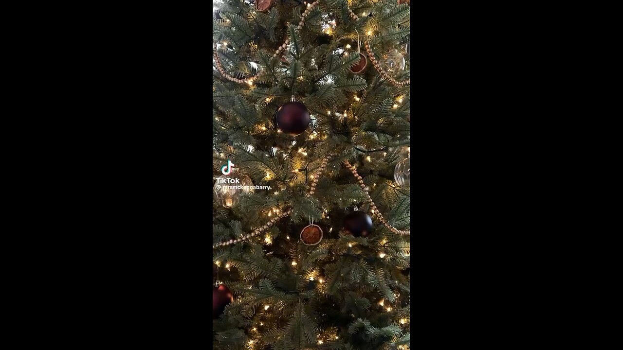 December 1, 2023