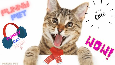 😹😼😻Funny Cats Part 2😹😼😻|| Video Compilation ||