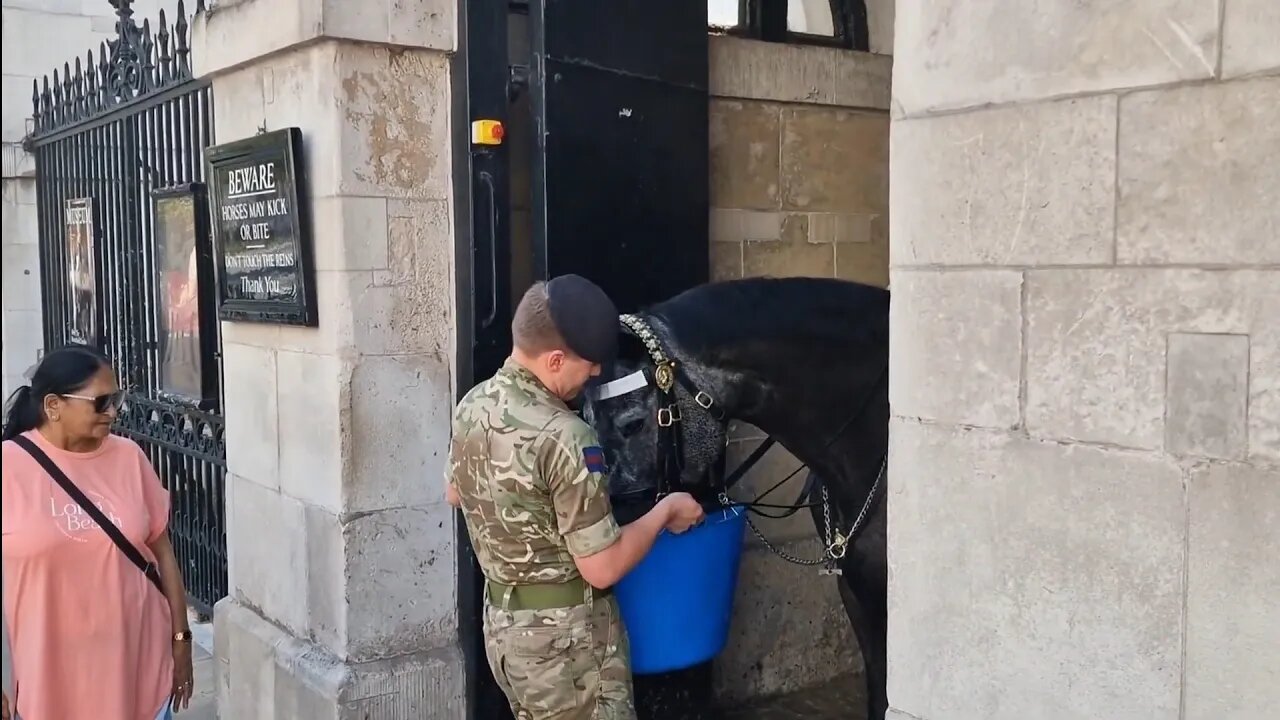 Temperature heading for 32c The horses are getting plenty to drink #horseguardsparade