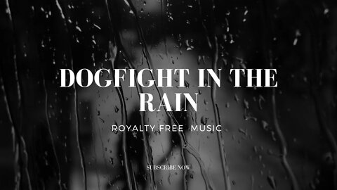 Dogfight In The Rain