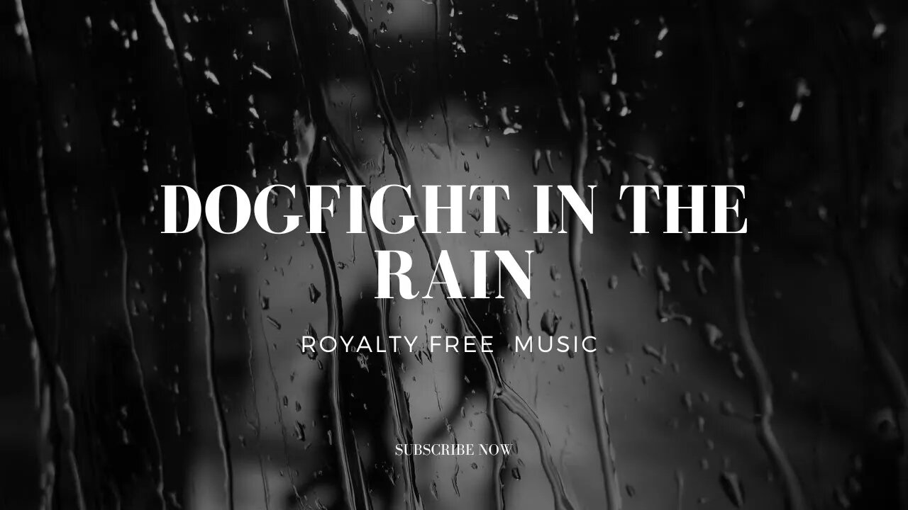 Dogfight In The Rain