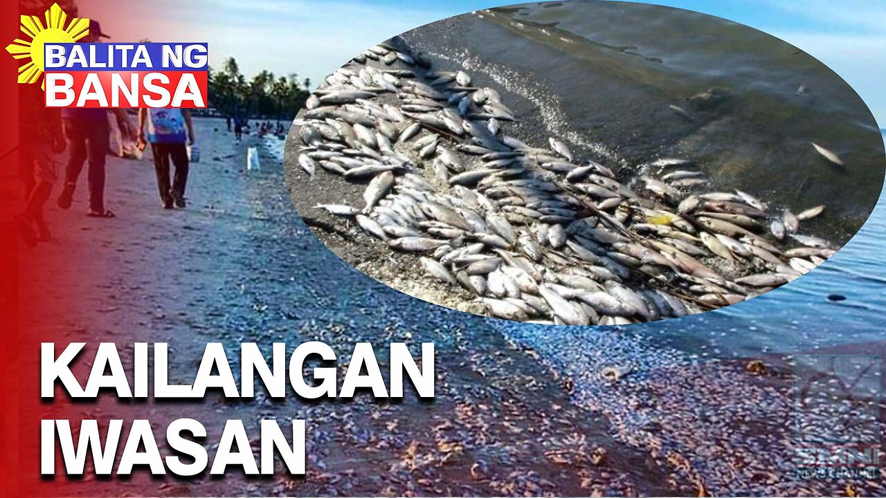 Fish mortality, kailangan iwasan sa fishpond ngayong panahon ng El Niño —BFAR