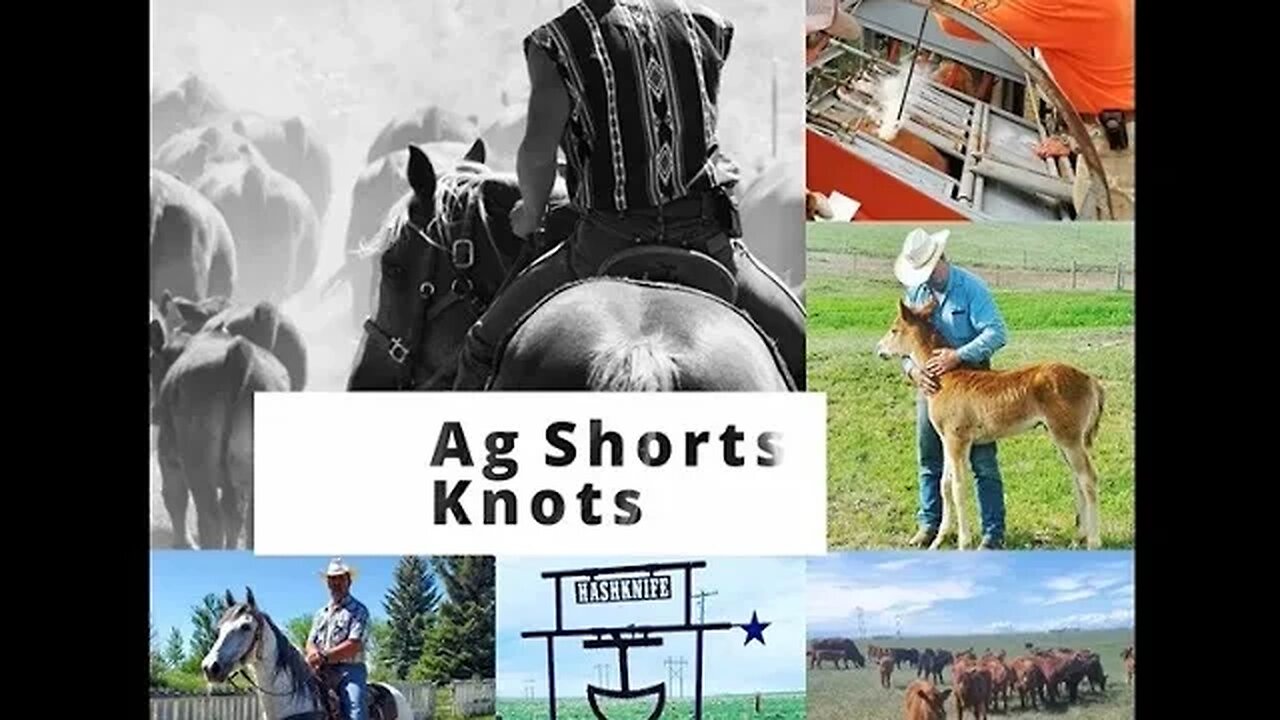 KNOTS & When to Use Them on the Ranch! - Ag Shorts