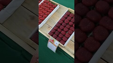 Festa do Morango Atibaia/ Jarinu - Exposição de Morangos