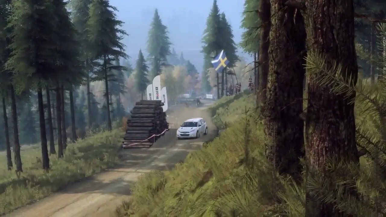DiRT Rally 2 - Replay - Ford Focus RS Rally 2001 at Rosebank Farm Reverse