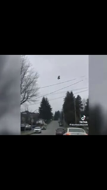 BIRD REMAIN’S MOTIONLESS IN THE SKY🦅AS VIEWERS RECORD STRANGE PHENOMENON📸💫