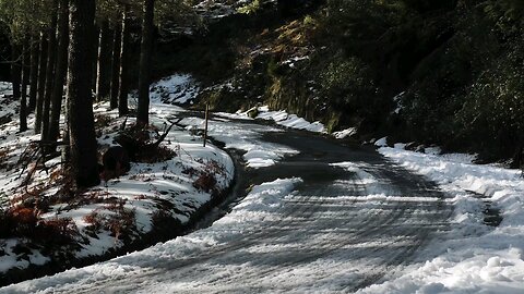 #winter #snowfall #peaceful