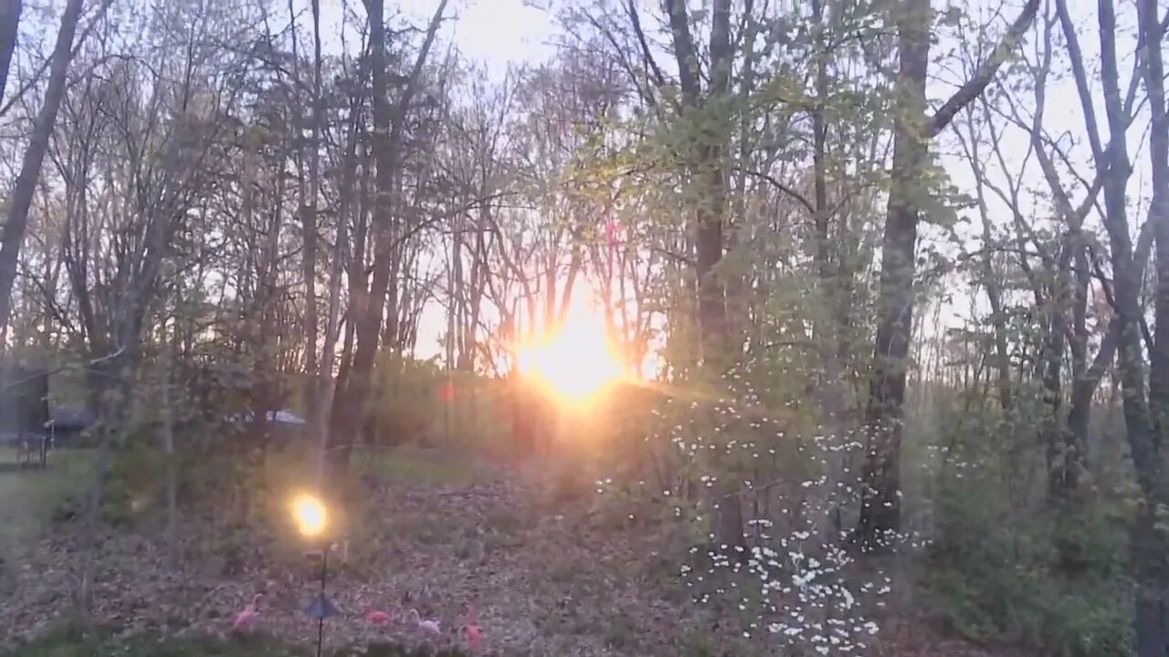 Sunset over a BirdFeeder | Eclipse talk | Milkyy milky way