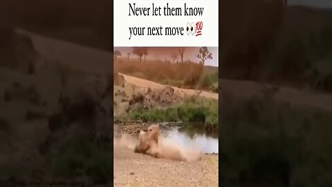 Never Let Them Know Your Next Move | Shorts | 2023