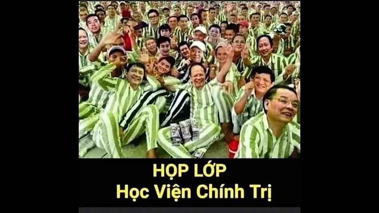 Họp Thôi Các Đồng Chí Ơi#shorts