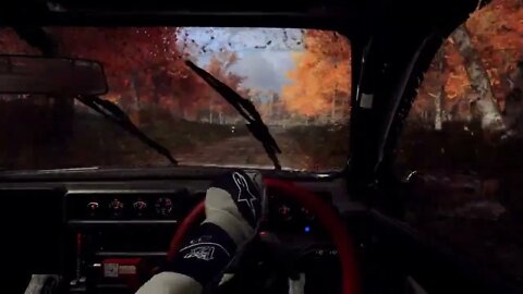 DiRT Rally 2 - Muddy Migration Through Beaver Creek Trail