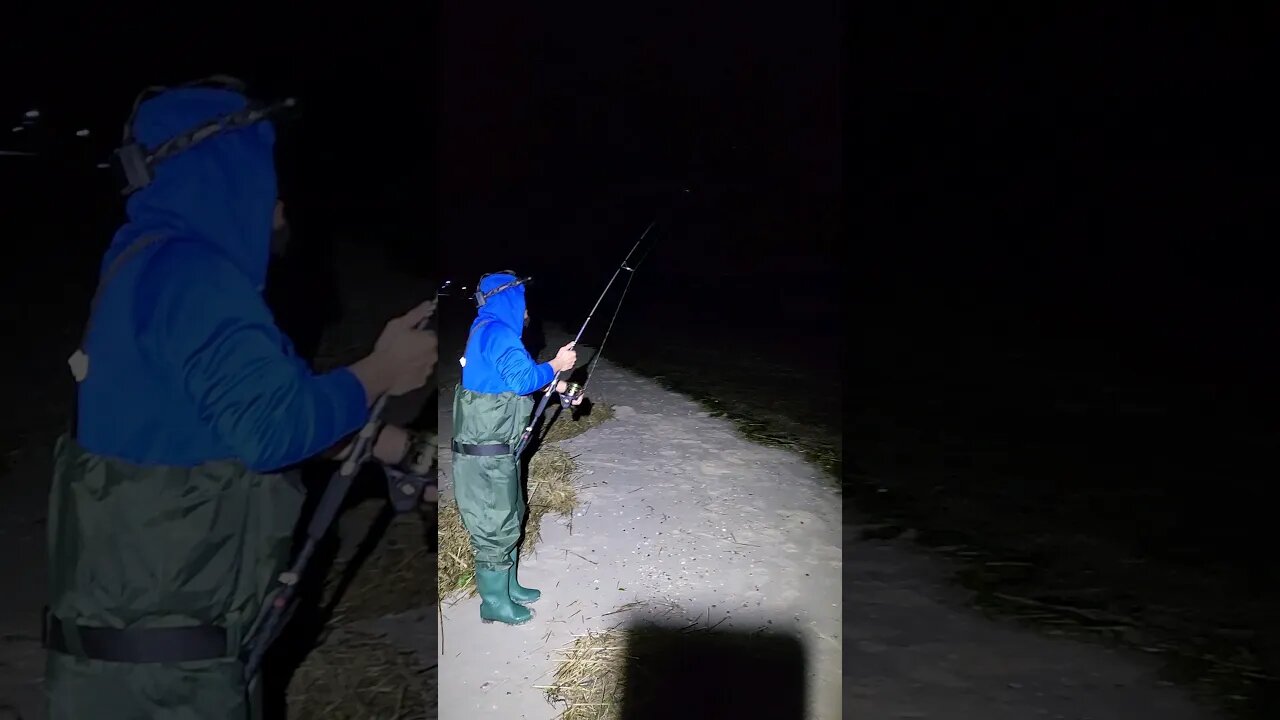 Reeling in Porgy never gets old at night 😅