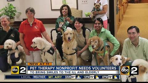 Pet therapy non-profit needs help bringing smiles to those in need