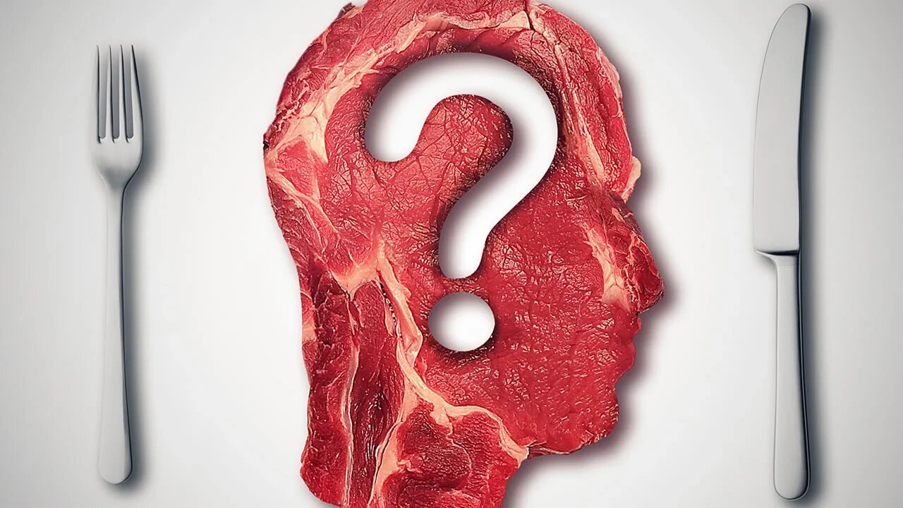 Should We Be Cannibals? | QUESTION EVERYTHING #1