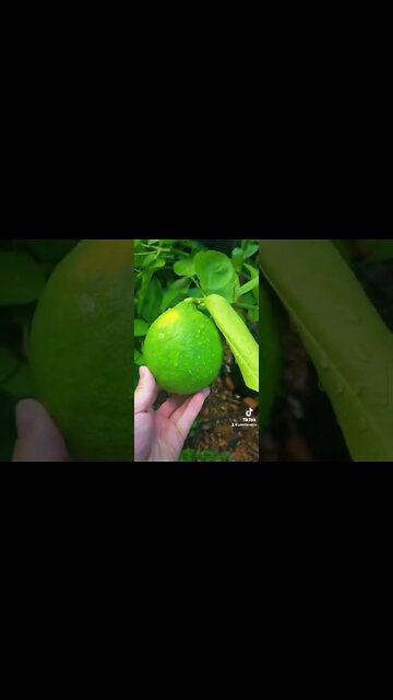 YOU MUST BE OBSESSED!!