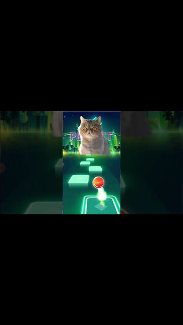 cat singing believer #shorts #music #song