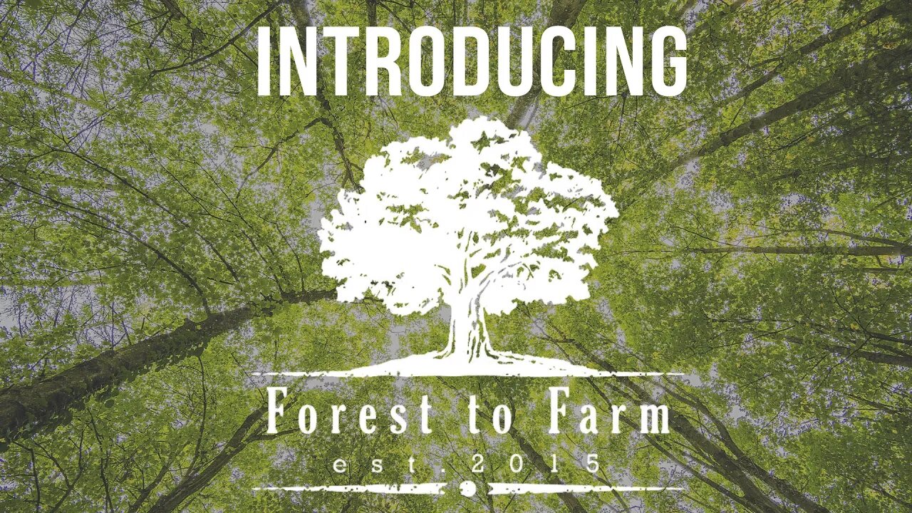 Introducing Forest to Farm | Building a Homestead Farm