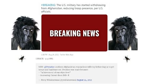 TRAITOR BIDEN BREAKING NEWS 24AUG21