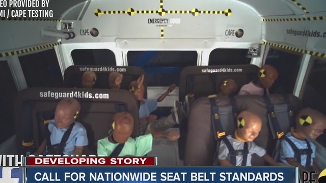 Call for nationwide seat belt standards