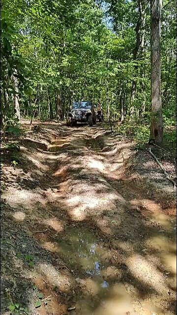 love my jeep and the woods