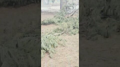 CLUES SURROUND