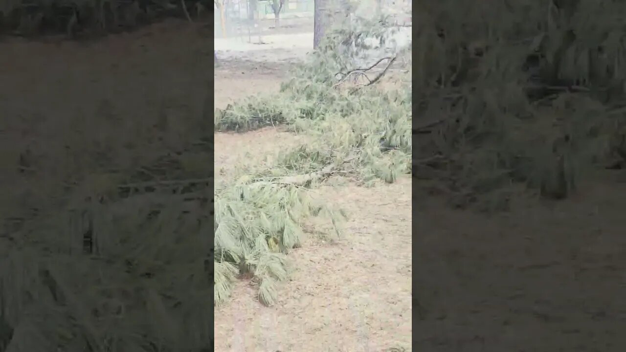 CLUES SURROUND
