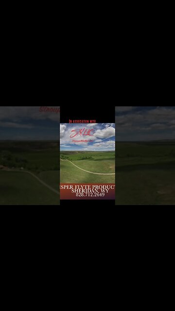 Bighorns of Wyoming #shorts