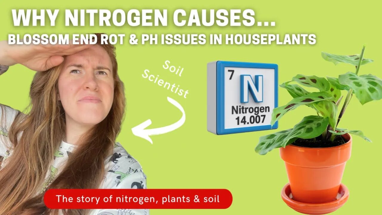 How Nitrogen Works With Plants & Why Balance Is Key. 17 Days Of Essential Plant Nutrients.