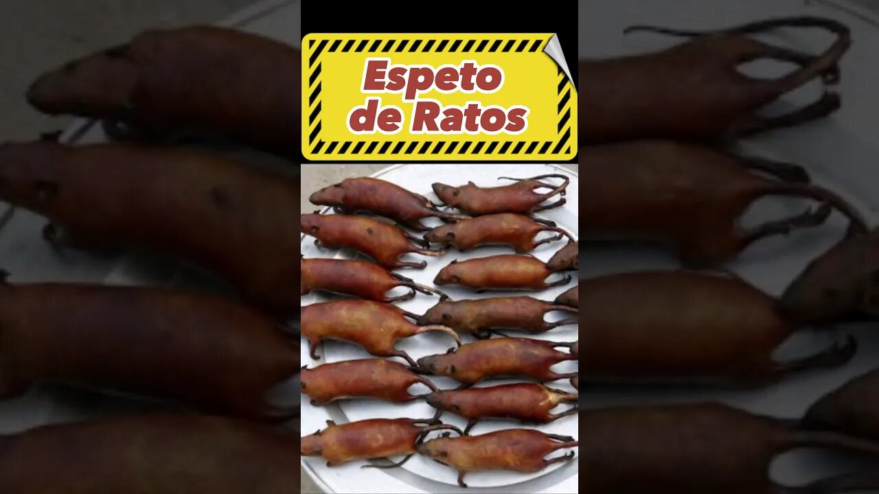 🐀COMER RATO ASSADO #shortsyoutube #shorts #short