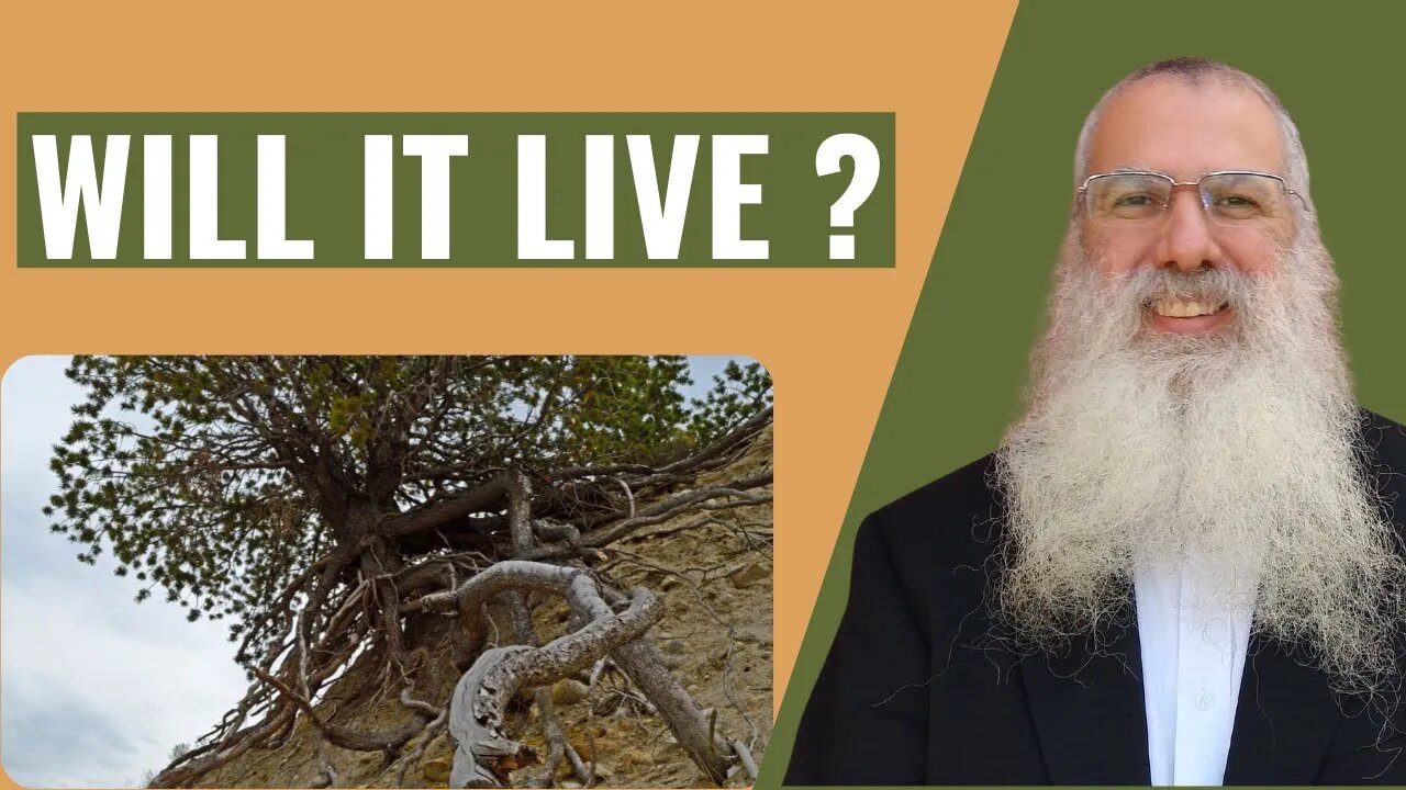 Mishna Orla chapter 1 Mishnah 4 will it live?