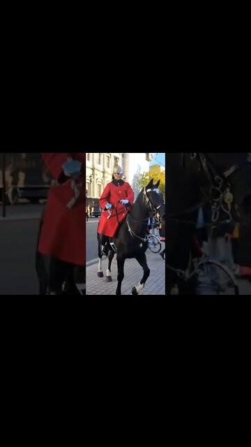 guard Brings horse under control before horse runs in the road #horseguardsparade