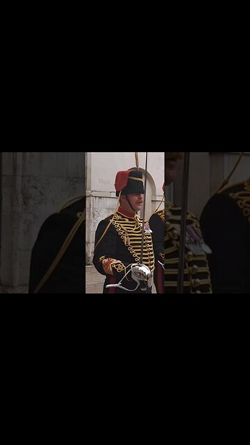 Good afternoon sir #horseguardsparade