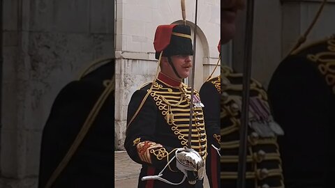 Good afternoon sir #horseguardsparade